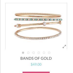 Premier Design Jewelry bangle set